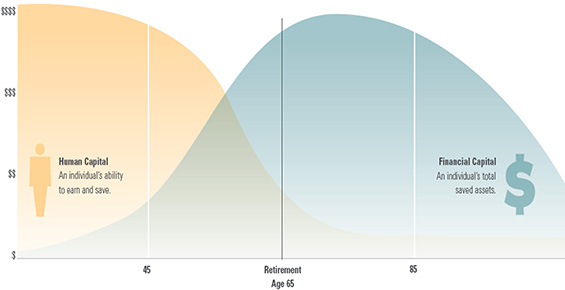 Life cycle of human capital and financial capital chart
