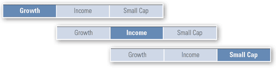Role in Portfolio graphic