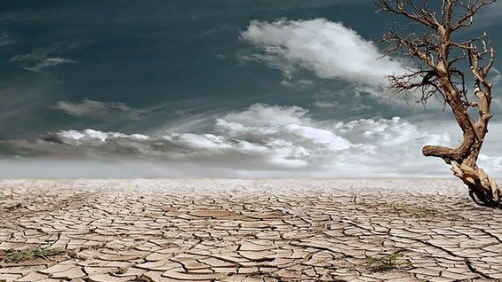 Image of drought-stricken landscape