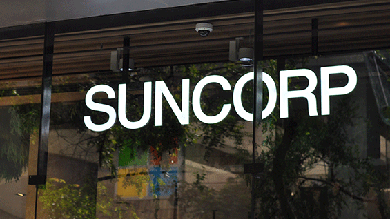 Suncorp result 2019