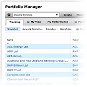 portfolio manager image